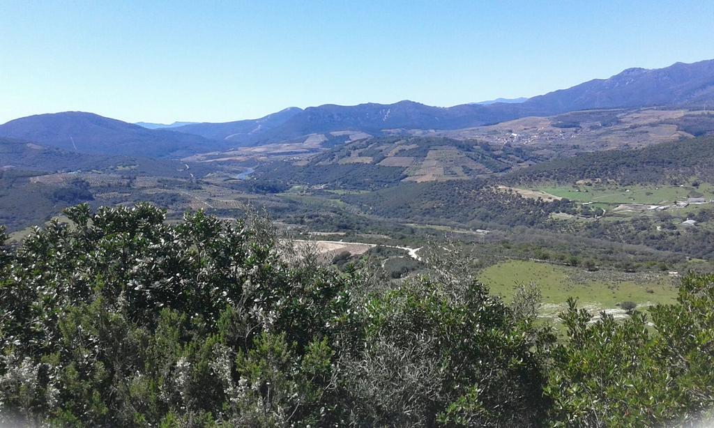 Hotel Rural Sierra De Francia Sotoserrano Kültér fotó