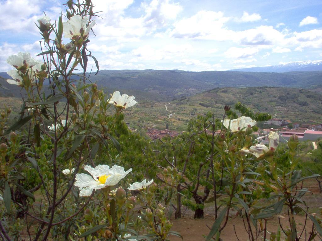 Hotel Rural Sierra De Francia Sotoserrano Kültér fotó